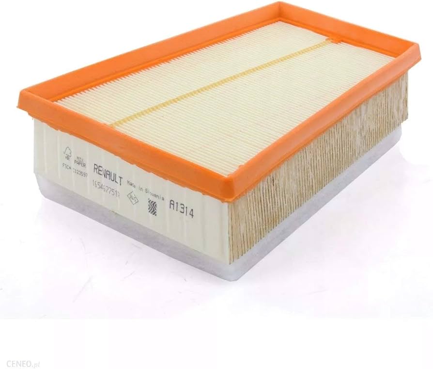 filtre à air Renault Megane 2 et Kangoo Evolution 2009