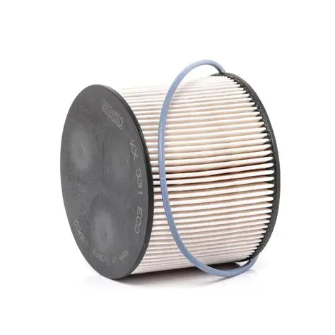 Filtre à Carburant Ford Kuga